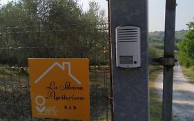 Agriturismo La Silvana B&B